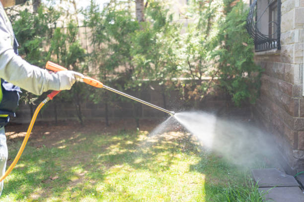 Best Fumigation Services  in Westlake Vlage, IL